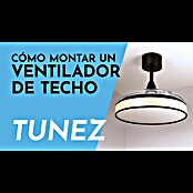 Arte confort Ventilador de techo Tunez (Negro, 105,5 cm, 30 W, Blanco cálido) | BAUHAUS