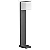 Steinel Sensor-LED-Außenwegeleuchte GL 80 LED iHF (9,5 W, Anthrazit, L x B x H: 13,2 x 11 x 63,25 cm)