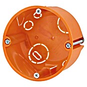 Hohlwanddose Normal (47 x 68 mm, 1-fach, Orange, 1 Stk.)