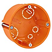 Hohlwanddose Normal (47 x 68 mm, 1-fach, Orange, 1 Stk.)