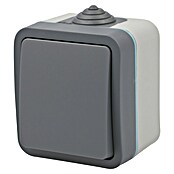 Voltomat Blueline Feuchtraum-Wechselschalter (Grau, Aufputz, IP54)
