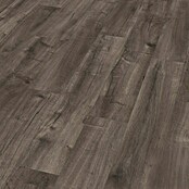 Egger Laminat NatureSense Aqua Loja Eiche grau (Loja Eiche grau, Landhausdiele, 1 292 x 193 x 8 mm) | BAUHAUS