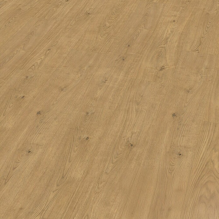 Egger Laminat Aquadura+ Berdal Eiche natur (Berdal Eiche natur, Landhausdiele, 1 292 x 193 x 7,5 mm) | BAUHAUS