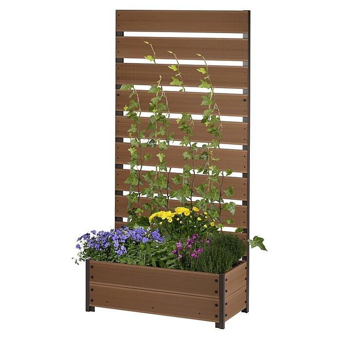 Dobar Pflanzkasten (Außenmaß (L x B x H): 72 x 33 x 137 cm, Verbundwerkstoff, Teak) | BAUHAUS
