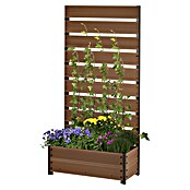 Dobar Pflanzkasten (Außenmaß (L x B x H): 72 x 33 x 137 cm, Verbundwerkstoff, Teak) | BAUHAUS