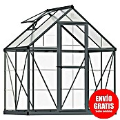 Palram – Canopia Invernadero Hybrid (Medidas ext. (An x Pr): 185 x 126 cm, 0,7 mm, Antracita) | BAUHAUS