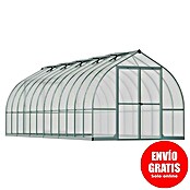 Palram – Canopia Invernadero Bella (Medidas ext. (An x Pr): 244 x 723 cm, 6 mm, Plateado) | BAUHAUS