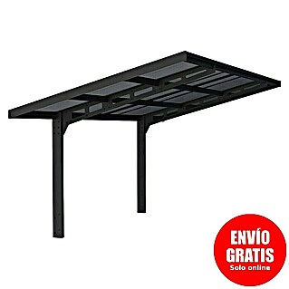 Palram – Canopia Carport Sydney Wave (Medidas ext. (An x Pr): 2,86 x 5,86 m, Negro)