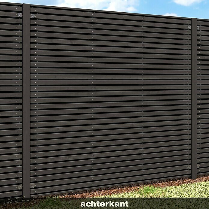 Schutting Grenen Andalusië (b x h: 180 x 180 cm, Hout, Zwart) | BAUHAUS