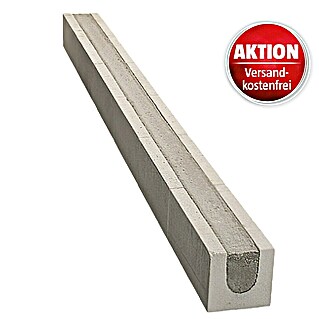 Der Sturz des Mächtigen Werner Herzog - The Great Ecstasy of Woodcarver Steiner 1974