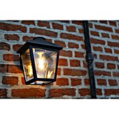 Vanjska zidna svjetiljka  (40 W, IP44, Crna) | BAUHAUS