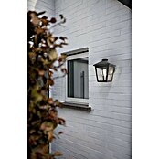Vanjska zidna svjetiljka  (40 W, IP44, Crna) | BAUHAUS