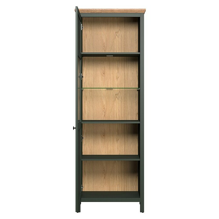 Trendteam Vitrine Stanton (B x T x H: 69 x 39 x 198 cm, Grün) | BAUHAUS