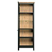 Trendteam Vitrine Stanton (B x T x H: 69 x 39 x 198 cm, Grün) | BAUHAUS