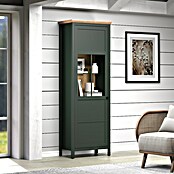 Trendteam Vitrine Stanton (B x T x H: 69 x 39 x 198 cm, Grün) | BAUHAUS