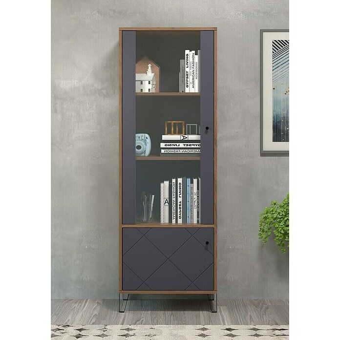 Trendteam Vitrine Montez (B x T x H: 63 x 40 x 172 cm, Grau) | BAUHAUS