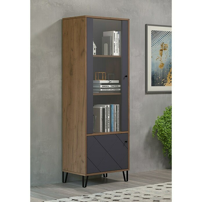 Trendteam Vitrine Montez (B x T x H: 63 x 40 x 172 cm, Grau) | BAUHAUS