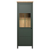 Trendteam Vitrine Stanton (B x T x H: 69 x 39 x 198 cm, Grün) | BAUHAUS