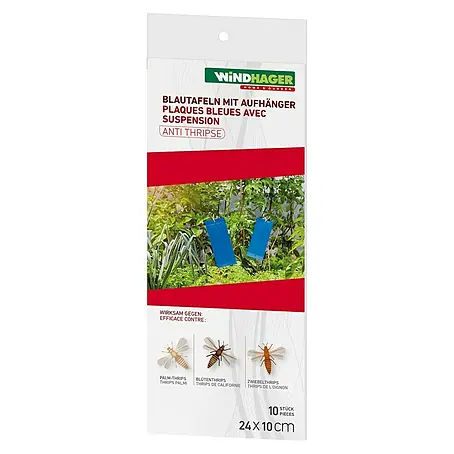 Windhager  Klebefalle mit Aufhänger