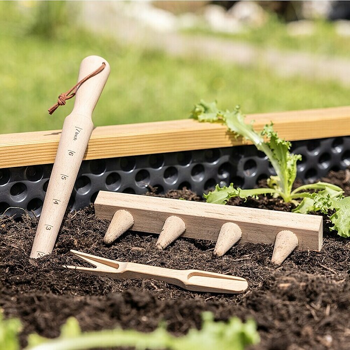 Windhager Pikier-Set (3 -tlg., Holz) | BAUHAUS