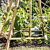 Windhager Rankhilfe Tipi (L x B x H: 75 x 75 x 145 cm, Holz, Hellbraun) | BAUHAUS