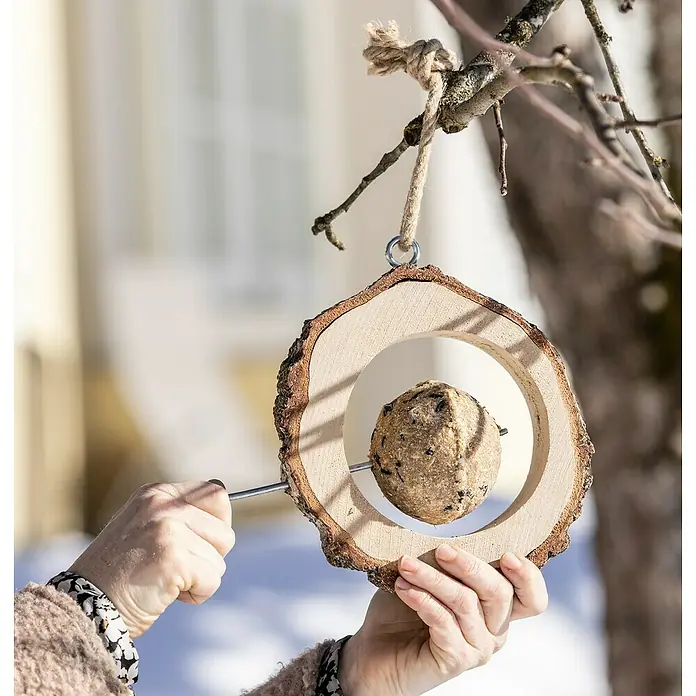 Meisenknödelhalter - Birke, Braun - Ein rustikaler Vogelfutterspender aus Holzscheibe mit einem Meisenknödel, aufgehängt an einem Baum. Perfekt für die Winterfütterung!