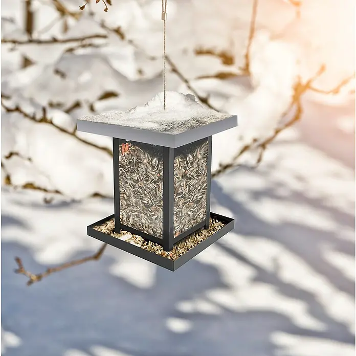 Windhager Futtersilo View - L x B x H: 16 x 16 x 17,5 cm, Schwarz/Silber, Metall - Ein moderner, quadratischer Vogelfutterspender mit Sonnenblumenkernen, aufgehängt im verschneiten Garten. Ideal für die Winterfütterung von Vögeln.