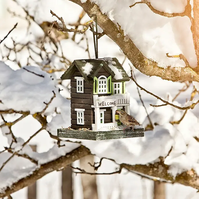 Windhager Vogelfutterhaus Bird Hotel - L x B x H: 18 x 18 x 23 cm, Mehrfarbig - Eine malerische Szene mit einem charmanten Vogelhaus im Winter, an einem verschneiten Baum hängend, während ein kleiner Vogel das Futter genießt.