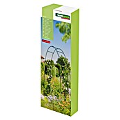 Lok za vrtnice  (230 cm x 140 cm x 37 mm, Zelena, Jeklo) | 7418 - Pergola, Rosenbogen | IAGB - Gartenholz | IAG - Außenbereichsausstattung | IA - Gartenhartware | I - Stadtgarten | BAUHAUS