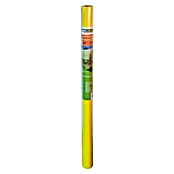 Windhager Frühbeetfolie (Gelb-Transparent, 2 x 10 m) | BAUHAUS