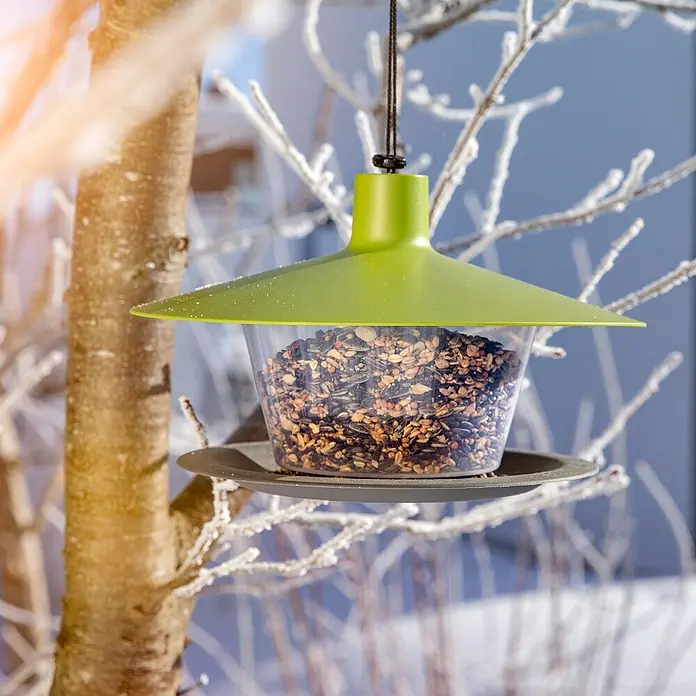 Windhager Vogelhaus Urban Life - L x B x H: 29 x 29 x 20 cm, Grün, Kunststoff - Ein hängendes Vogelhaus mit grünem Dach, gefüllt mit Vogelfutter, hängt an einem Baum an einem kalten Wintertag.