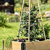 Windhager Rankhilfe Pyramide (L x B x H: 50 x 50 x 145 cm, Holz, Hellbraun) | BAUHAUS
