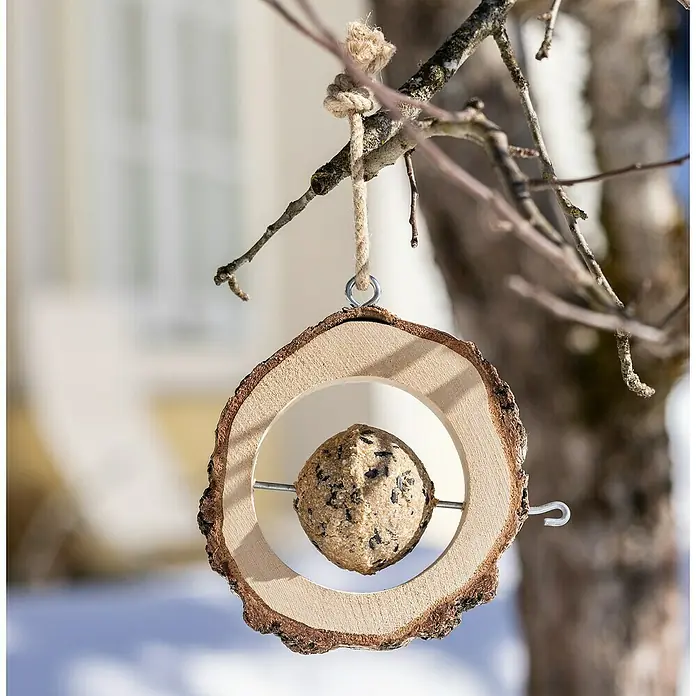 Meisenknödelhalter - Birke, Braun - Ein runder Futterspender aus Holz, an einem Baum hängend, mit einem Meisenknödel in der Mitte, der Vögel im Winter anlockt.