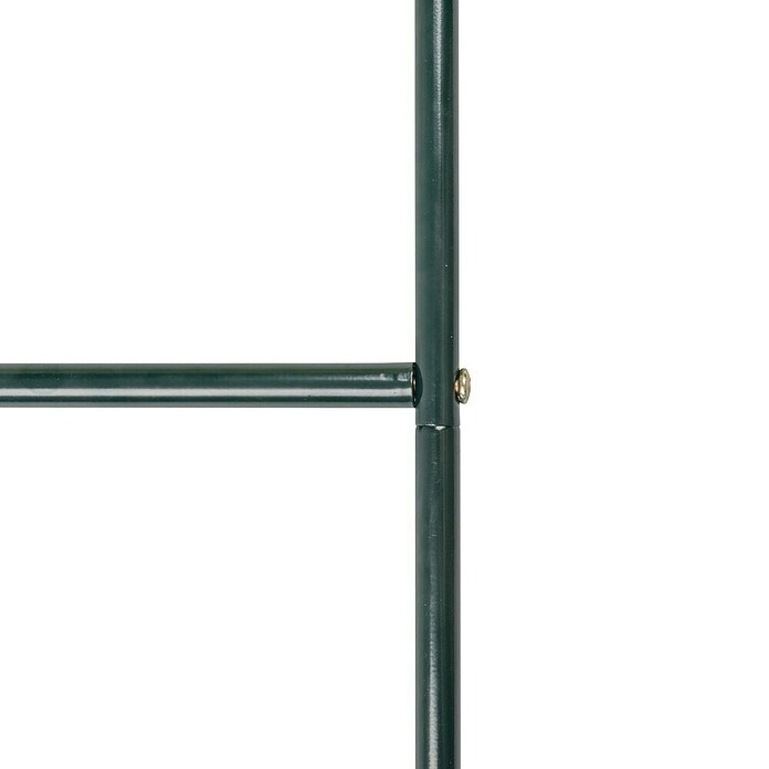 Lok za vrtnice  (230 cm x 140 cm x 37 mm, Zelena, Jeklo) | 7418 - Pergola, Rosenbogen | IAGB - Gartenholz | IAG - Außenbereichsausstattung | IA - Gartenhartware | I - Stadtgarten | BAUHAUS