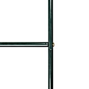 Lok za vrtnice  (230 cm x 140 cm x 37 mm, Zelena, Jeklo) | 7418 - Pergola, Rosenbogen | IAGB - Gartenholz | IAG - Außenbereichsausstattung | IA - Gartenhartware | I - Stadtgarten | BAUHAUS