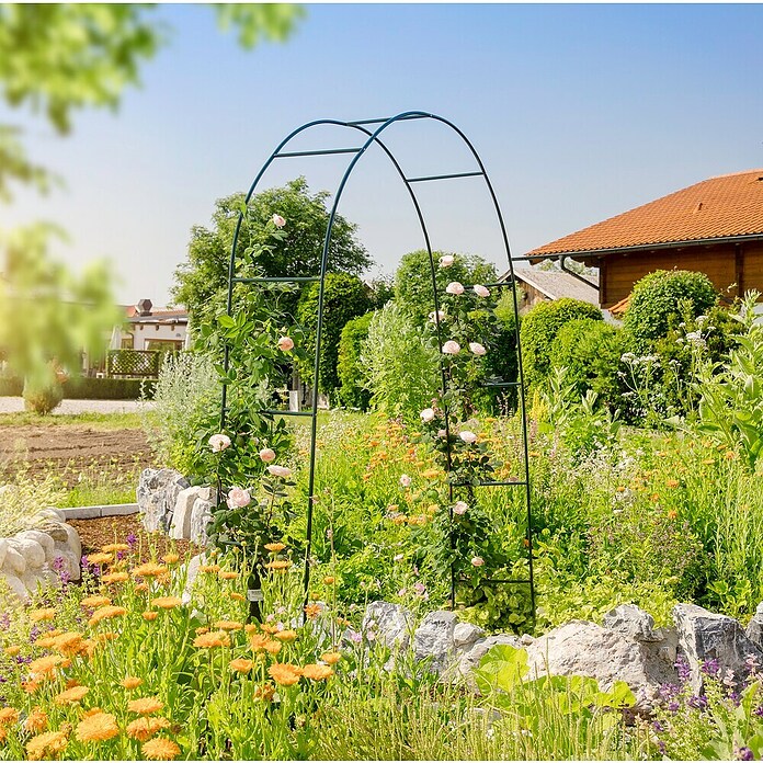 Lok za vrtnice  (230 cm x 140 cm x 37 mm, Zelena, Jeklo) | 7418 - Pergola, Rosenbogen | IAGB - Gartenholz | IAG - Außenbereichsausstattung | IA - Gartenhartware | I - Stadtgarten | BAUHAUS