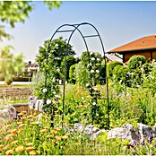 Lok za vrtnice  (230 cm x 140 cm x 37 mm, Zelena, Jeklo) | 7418 - Pergola, Rosenbogen | IAGB - Gartenholz | IAG - Außenbereichsausstattung | IA - Gartenhartware | I - Stadtgarten | BAUHAUS
