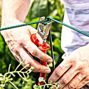 Windhager Rankhilfe Tomaten-Turm (L x B x H: 118 x 35 x 35 cm, Dunkelgrün)