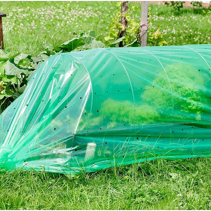 Windhager Folientunnel Komplettset (L x B: 3,5 x 1 m, Grün)