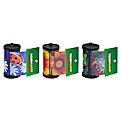 Windhager Fliegenfalle Roll-Up (3 Stk.) | BAUHAUS