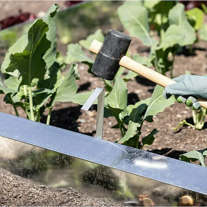 Windhager Schneckenblech Befestigungsklammer - Stahl, Höhe: 45 cm - Eine Person verwendet einen Gummihammer, um eine Metalleinfassung in einem Gartenbeet zu befestigen, wobei grüne Pflanzen im Hintergrund zu sehen sind.