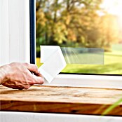 Windhager Fliegenfalle Fenster (4 Stk.) | BAUHAUS