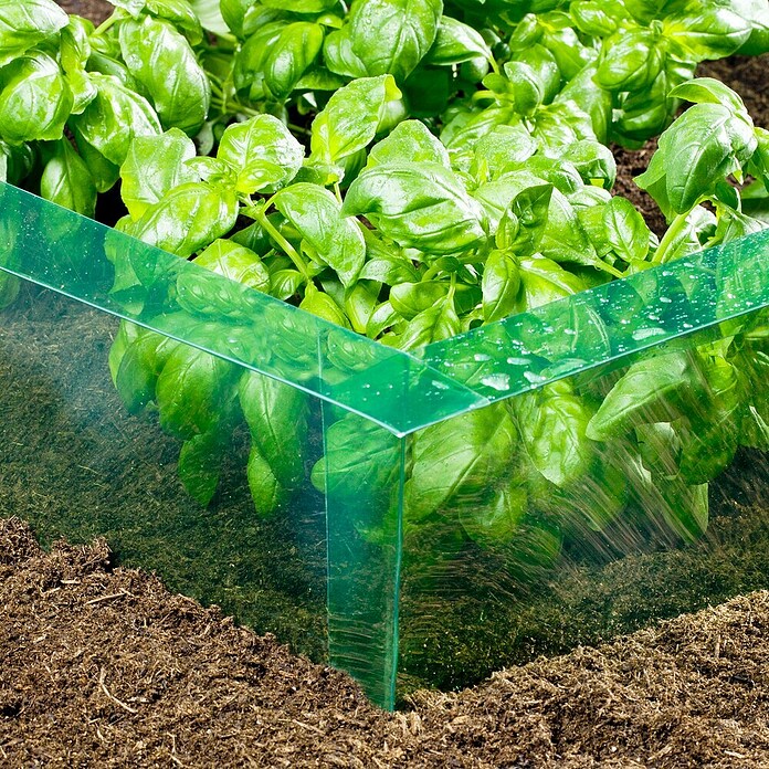 Windhager Schneckenband (L x H: 14 m x 20 cm, Kunststoff, Grün/Transparent)