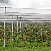 Windhager Hagelschutz-Netz (L x B: 5 x 4 m, Grün)