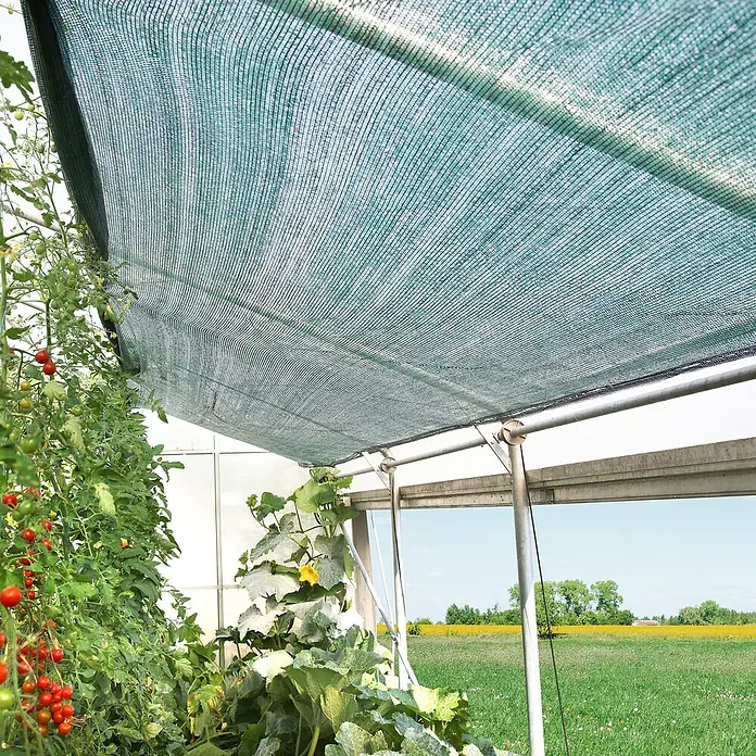 Windhager Schattierungsnetz - 2 x 10 m, Grün - Gewächshaus mit schattenspendendem Sonnenschutznetz, das Pflanzen vor zu starker Sonneneinstrahlung schützt und ein optimales Wachstum fördert.