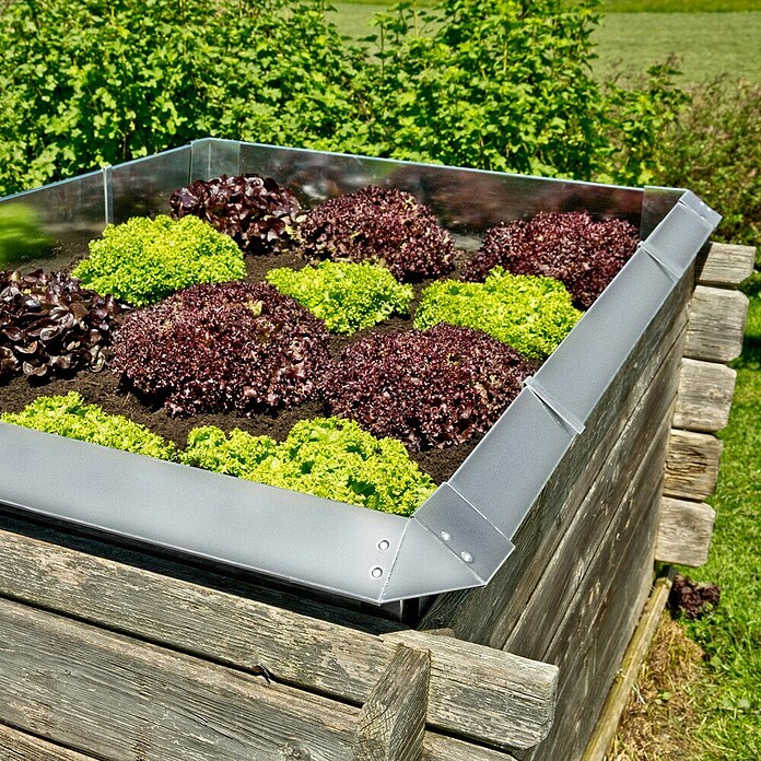 Windhager Schneckenblech Zaun-Element (Stahlblech, L x H: 115 x 25 cm)