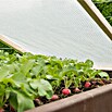 Windhager Gitterfolie (L x B: 6 x 2 m, Weiß)