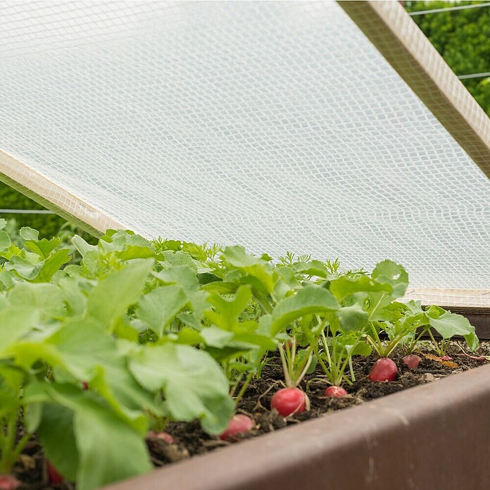 Windhager Gitterfolie (L x B: 6 x 2 m, Weiß)