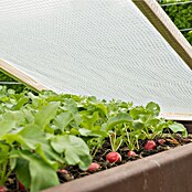 Windhager Gitterfolie (L x B: 6 x 2 m, Weiß)