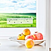 Windhager Fliegenfalle Fenster (4 Stk.) | BAUHAUS